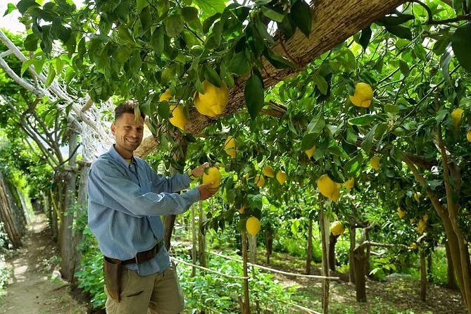 Lemon Trail : Lemon Tour with Tasting - How a short company visit helps you judge lemon products