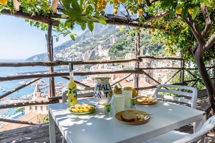 Lemons & Breathtaking Views: Amalfi Monumental Garden Tour - What This Amalfi Lemon Garden Tour Really Gives You