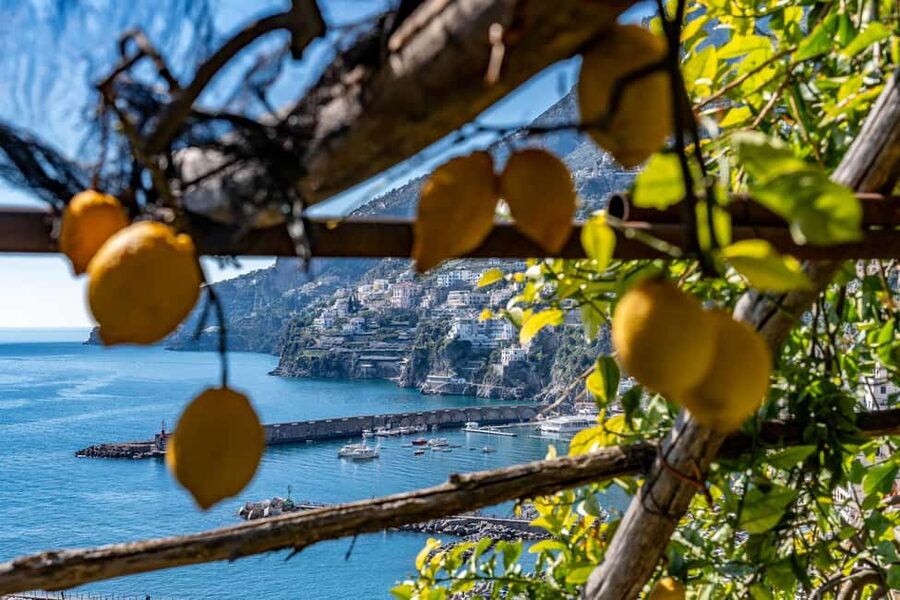 Lemons & Breathtaking Views: Amalfi Monumental Garden Tour - 700 AD to today: how lemons stayed at the center