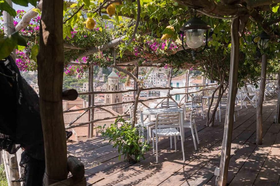 Lemons & Breathtaking Views: Amalfi Monumental Garden Tour - The tasting session: lemonade, lemon cake, and limoncello demo