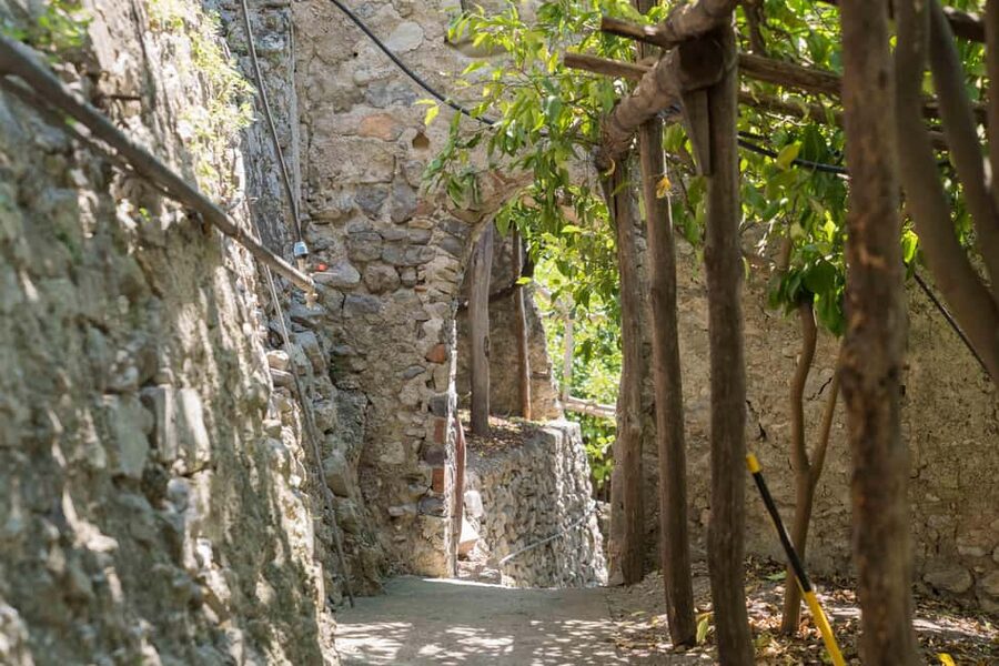 Lemons & Breathtaking Views: Amalfi Monumental Garden Tour - Walk time and pacing: 90 minutes that feel human