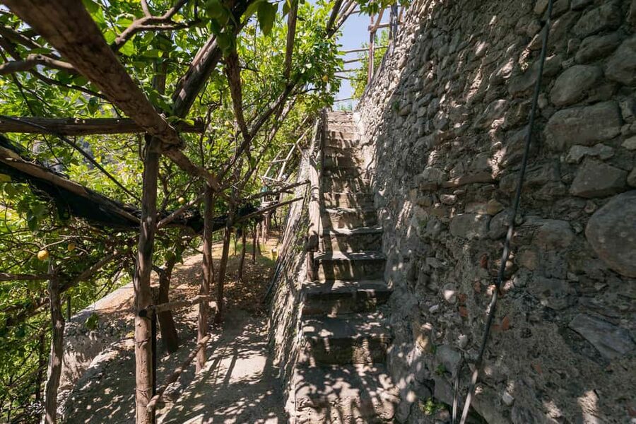 Lemons & Breathtaking Views: Amalfi Monumental Garden Tour - Meet Gianmarco at Fior di Pizza, Then Slip Into the Terraces