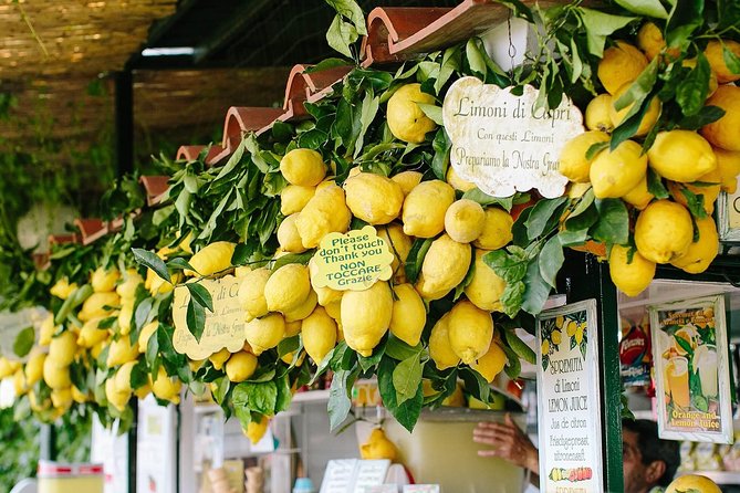 Li Galli Islands and Capri Small Group Boat Tour from Amalfi - What you actually get for the price, plus the small extra fee