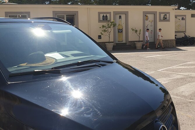 Luxury Tour from Positano to Pompeii and Naples City - Meeting points: pickup where you actually are, not a random corner