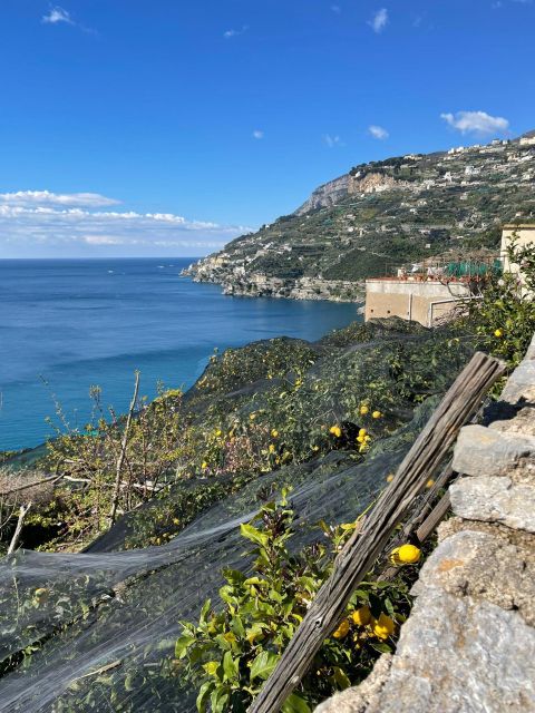Maiori: Amalfi Coast Path of Lemons Day Trip with Tastings - Key highlights worth circling