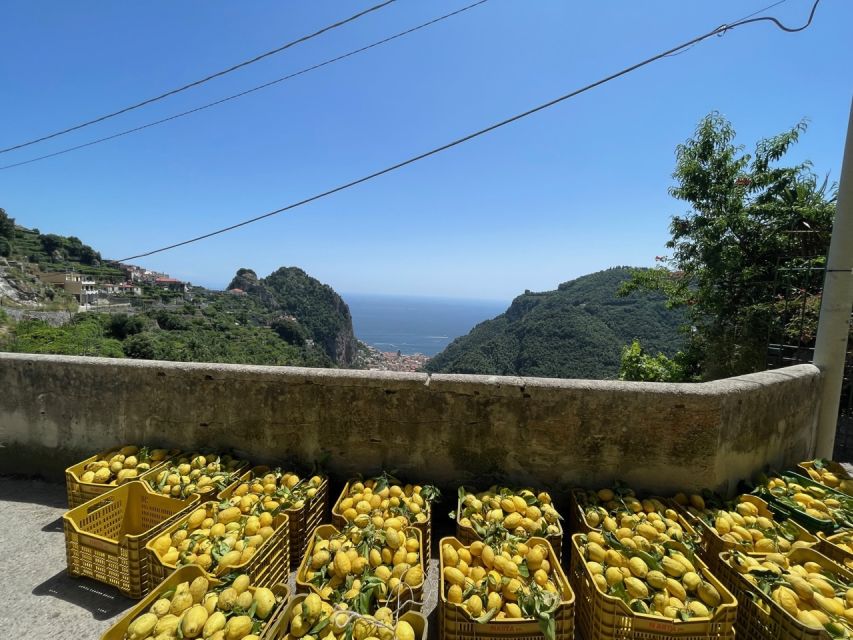 Maiori: Amalfi Coast Path of Lemons Day Trip with Tastings - Who should book (and who should skip)