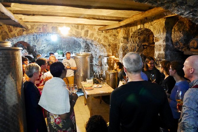Milk the Cow & Make Mozzarella and Gnocchi with Our Family - The old cellar tasting: where the lesson happens