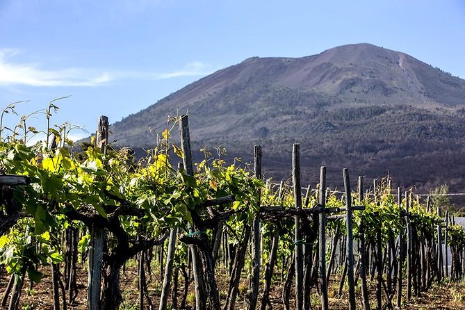 Mount Vesuvius & Wine Tasting with Lunch Private Tour - Vesuvius National Park option: crater views from 1,281 m