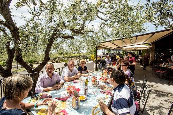 Mount Vesuvius & Wine Tasting with Lunch Private Tour - Price and value: why this costs $359.01 and where the extra fees may land