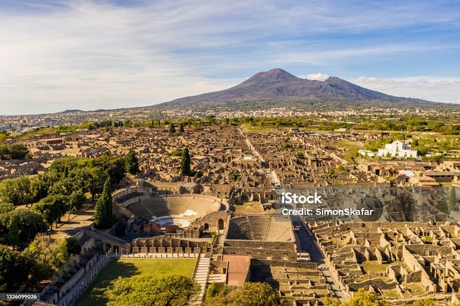 Naples: visit vesuvius skip the Line tickets with roundtrip bus - What makes the driver and communications a big deal