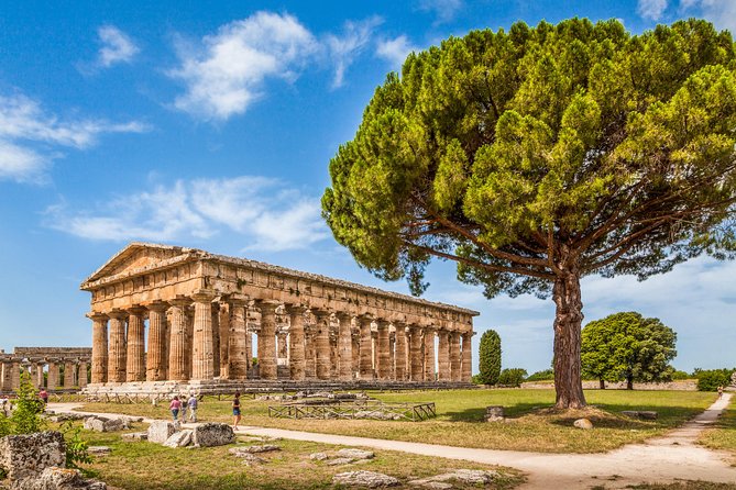 Paestum: Private Tour of Greek Temples and Archaeological Museum - Entering the Archaeological Park with a plan that saves your energy