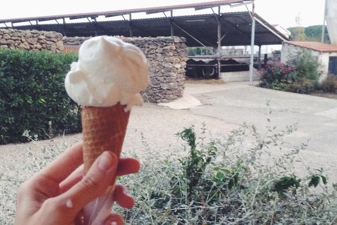 Paestum Traditions, Buffaloes, Ceramics, Temples - Why this tour works: art, food, and Paestum in one loop