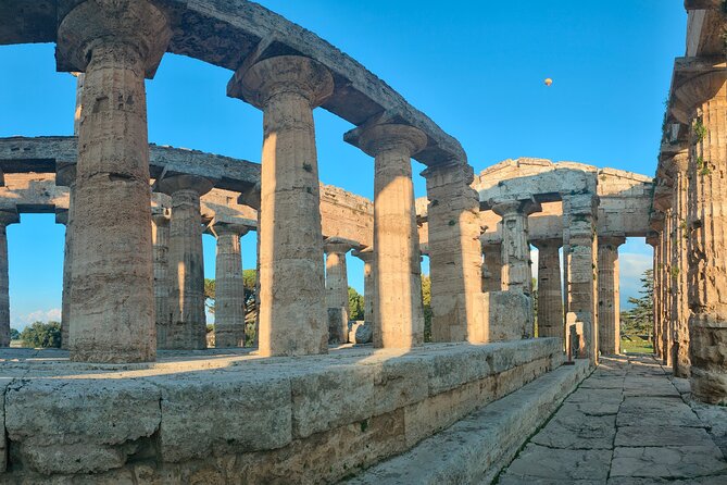 Paestum Traditions, Buffaloes, Ceramics, Temples - Stop 2: Barlotti buffalo farm with tastings and animal time