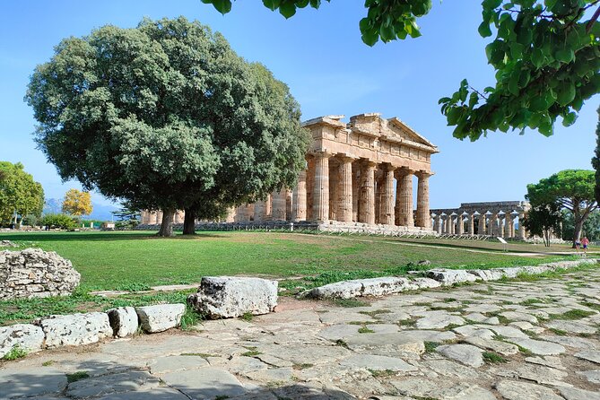 Paestum Traditions, Buffaloes, Ceramics, Temples - Your guide experience: Giuseppe Leone and the human touch