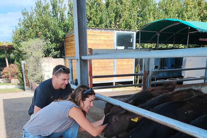Paestum Traditions, Buffaloes, Ceramics, Temples - Timing and weather: making evening lighting happen