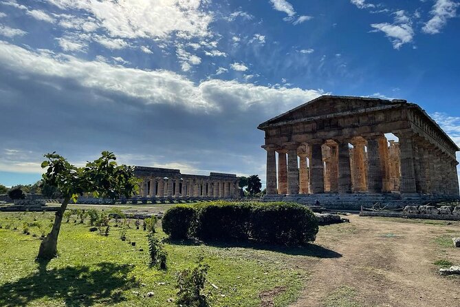 Paestum Whole Family Private Tour - Key Highlights Worth Planning For