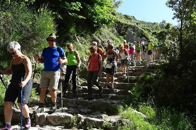 Path of Gods Hike, with Food Experience at Shepherd's Hut - Price and value: what $240.96 buys you, and when transport matters