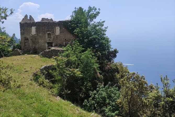 Path of the Gods: Guided Trekking on the Amalfi Coast - Lemon groves and vineyards: the walk’s “everyday Amalfi” side