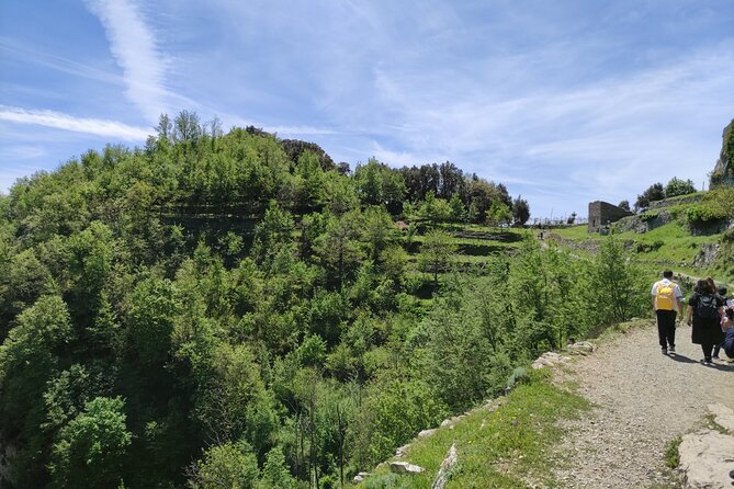 Path of the Gods: Guided Trekking on the Amalfi Coast - Wildlife and weather: why good conditions matter here