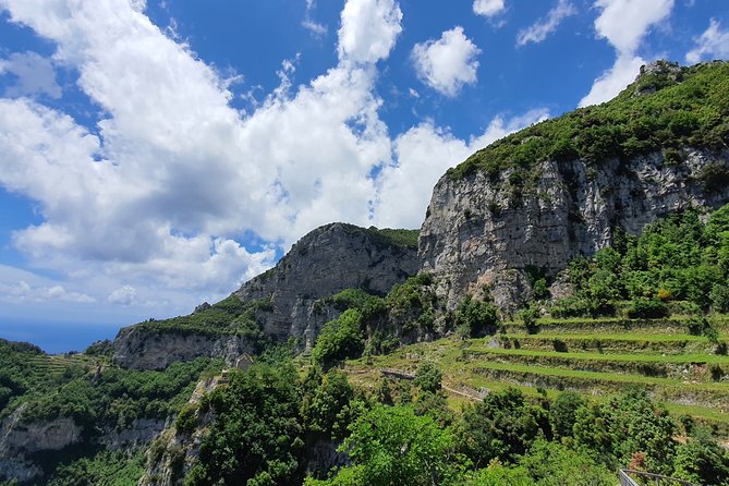 Path of the gods hike - What you learn on the clifftop: plants, caves, and old houses