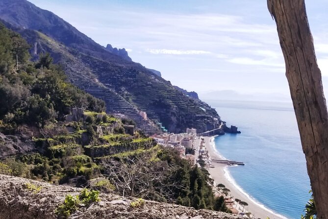 Path of the Lemons - Stop 1: Lemon Grove Tastings and the Amalfi Coast Views
