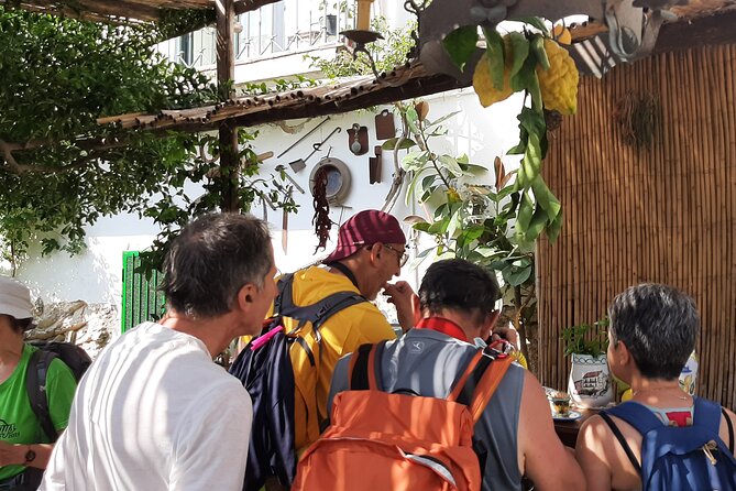 Path of the Lemons - Minori Finale at Sal De Riso and the Delizia al Limone