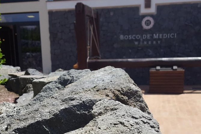 Pompei Archeological site and Wine tasting Experience - The door-to-door comfort from Amalfi (and why it matters)