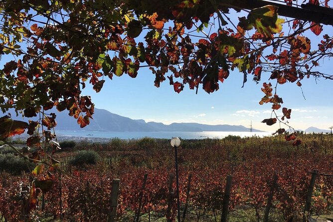 Pompeii, food and Wine - From Positano, Sorrento, or Naples: how the half-day really feels
