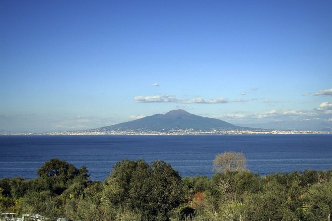 Pompeii, food and Wine - Pompeii Archaeological Park with a private guide for 2 hours
