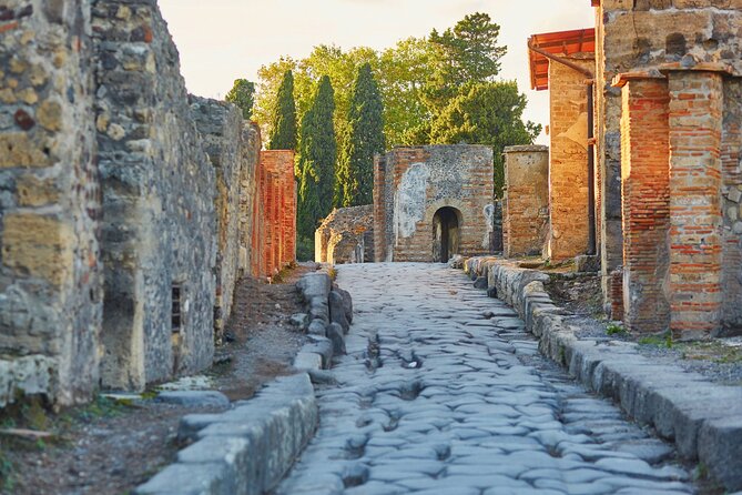 Pompeii Private Guided Tour with tickets from Amalfi Coast - How the nominative Pompeii tickets work (names, ages, and ID)