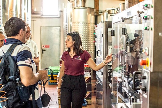 Pompeii Ruins & Wine Tasting with Lunch on Vesuvius with Private Transfer - Price and value: what $432.47 gets you, and what to watch