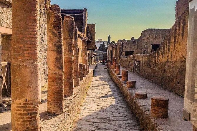 Pompeii Tour with Lunch and Wine Tasting from Positano - The Vesuvius winery stop: views without the big hiking day
