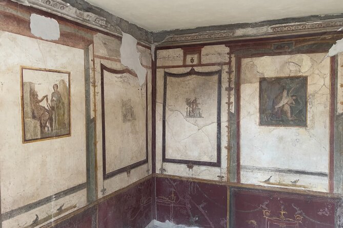 Pompeii, Vesuvius & wine tasting from Amalfi coast all inclusive - The view moment: using Vesuvius time well