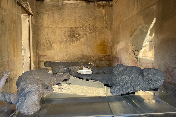 Pompeii, Vesuvius & wine tasting from Positano all inclusive - Price and Value: Is $318.21 a Fair Deal?