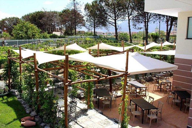 Pompeii & Vesuvius with Lunch & Wine Tasting from Amalfi Coast - Who This Tour Suits Best