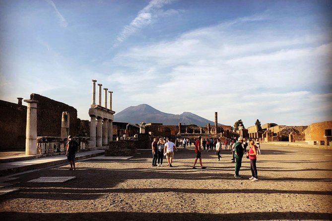 Pompeii & Vesuvius with Lunch & Wine Tasting from Positano - Vigna delle Rose (Casa Setaro) Vineyard Lunch and Wine Tasting