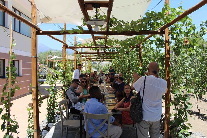 Pompeii Wine Tasting Tour from Positano - Should you book the Pompeii Wine Tasting Tour from Positano?