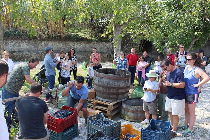 Pompeii Wine Tasting Tour from Positano - FAQ