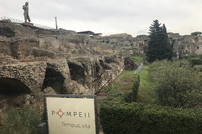 Pompeii Wine Tasting Tour from Positano - Pompeii Archaeological Park: a guided walk that keeps you oriented