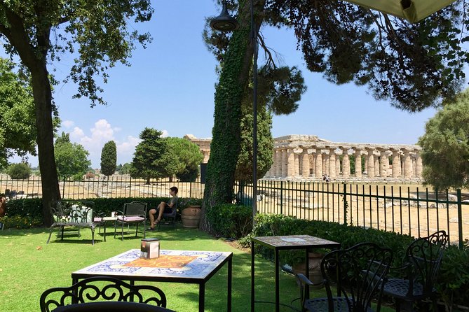 Private 2 Hour Paestum Tour - Best-Preserved Greek Architecture, and Why It’s Worth Standing Still