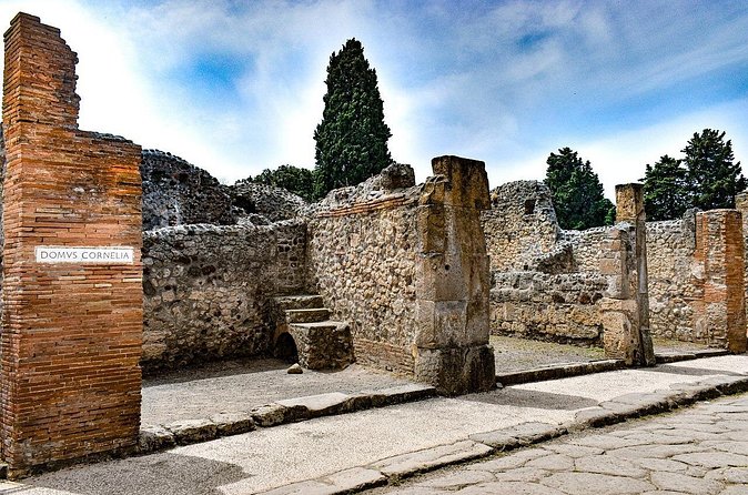 private and Guided Tour to Pompeii from Positano - Pompeii Archaeological Park: Two Hours With a Bilingual Guide