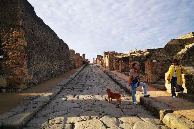 Private Day Tour to Pompeii and Vesuvio Wineries from Rome - Vesuvius National Park and Vesuvio Wineries: Wine Tasting With a View of the Volcano