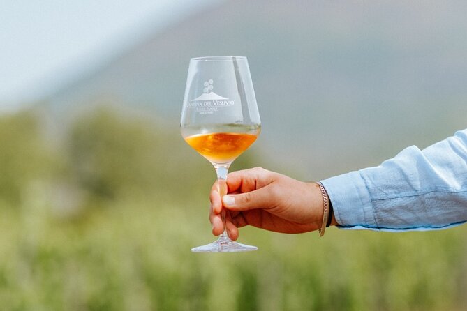 Private Day Tour to Pompeii and Vesuvio Wineries from Rome - The Return Drive Back to Rome: Use the Time, Don’t Fight It