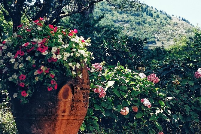 Private full day tour to Capri with grottos - Capri’s sea route and grotto stops you’ll actually remember