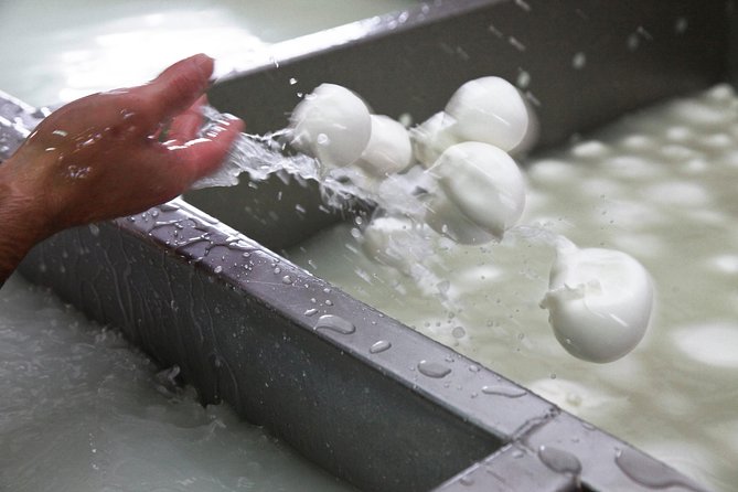Private guided tour of Paestum and Buffalo Mozzarella farm lunch - Tips to get more out of Paestum and the buffalo lunch