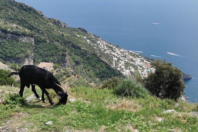 Private Guided Tour to the Path of the Gods - Half day - Who this private hike suits best (and who should rethink it)