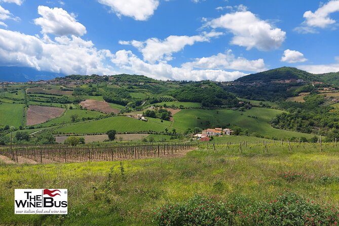 Private Irpinia Wine Tour from POSITANO, AMALFI or RAVELLO - Key highlights