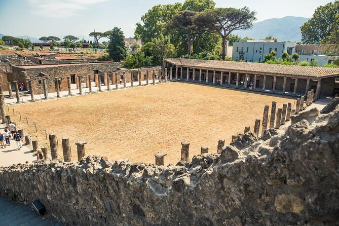 Private Skip-the-Line Pompeii & Mt. Vesuvius Tour from Positano - Price and value: what you are paying for