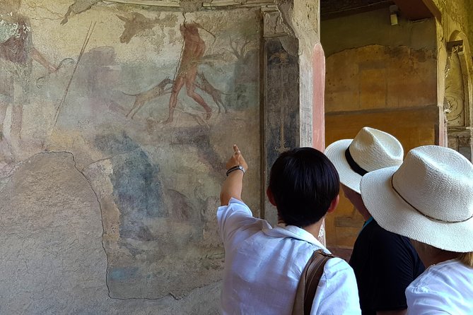 Private Skip-the-Line Pompeii & Mt. Vesuvius Tour from Positano - Who this tour is best for