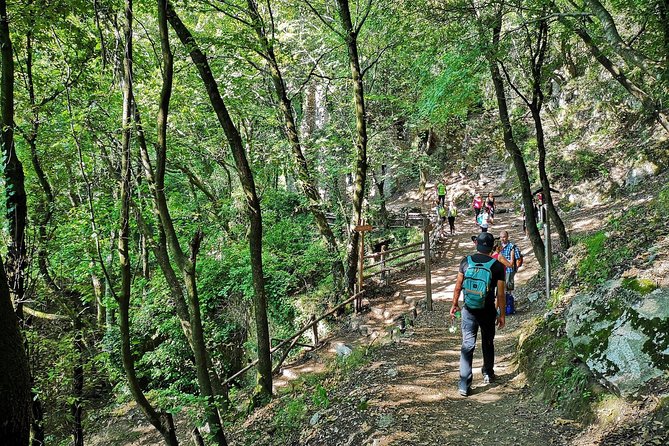 Private Tour: Amalfi Valle delle Ferriere Nature Reserve Walking Tour - Following the Canneto River to waterfalls and paper mill ruins